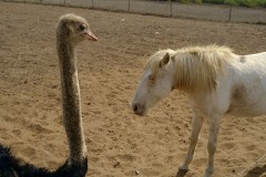 Photographie - Boris Dunand (www.borisdunand.ch)