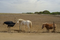 Photographie - Boris Dunand (www.borisdunand.ch)