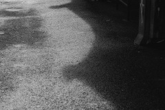 Photographie - Boris Dunand (www.borisdunand.ch)