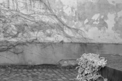 Photographie - Boris Dunand (www.borisdunand.ch)