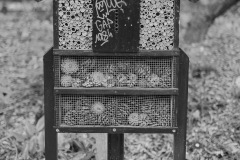 Photographie - Boris Dunand (www.borisdunand.ch)