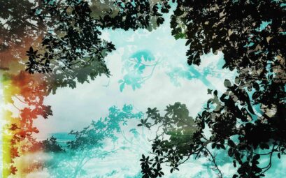 photographie double exposition